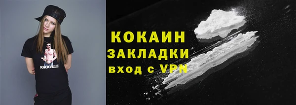 дживик Кропоткин