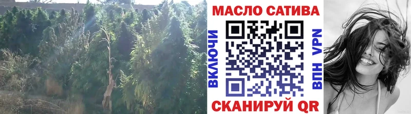ТГК THC oil  Исилькуль 